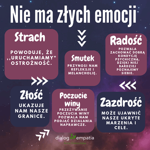 1687039872731-copy