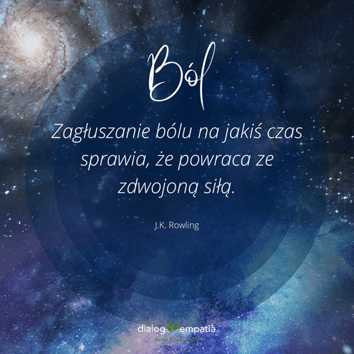 bol-copy