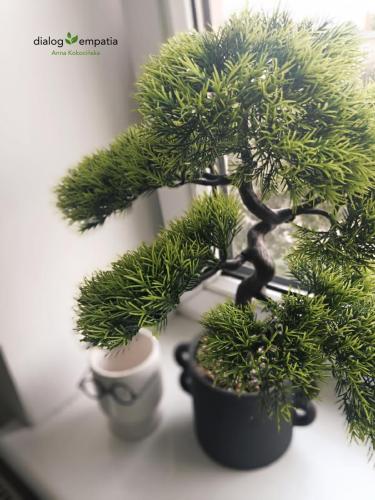 Picsart 24-07-11 11-15-51-178